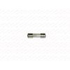 Üvegbiztosíték 10 A 5x20mm lassú-1